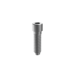 Tornillo de pilar permanente final M6 de China para implante Osstem GS TS US