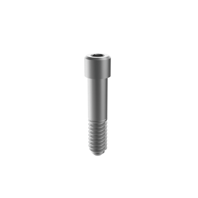 M6 dental fixation screws for SG implant abutment