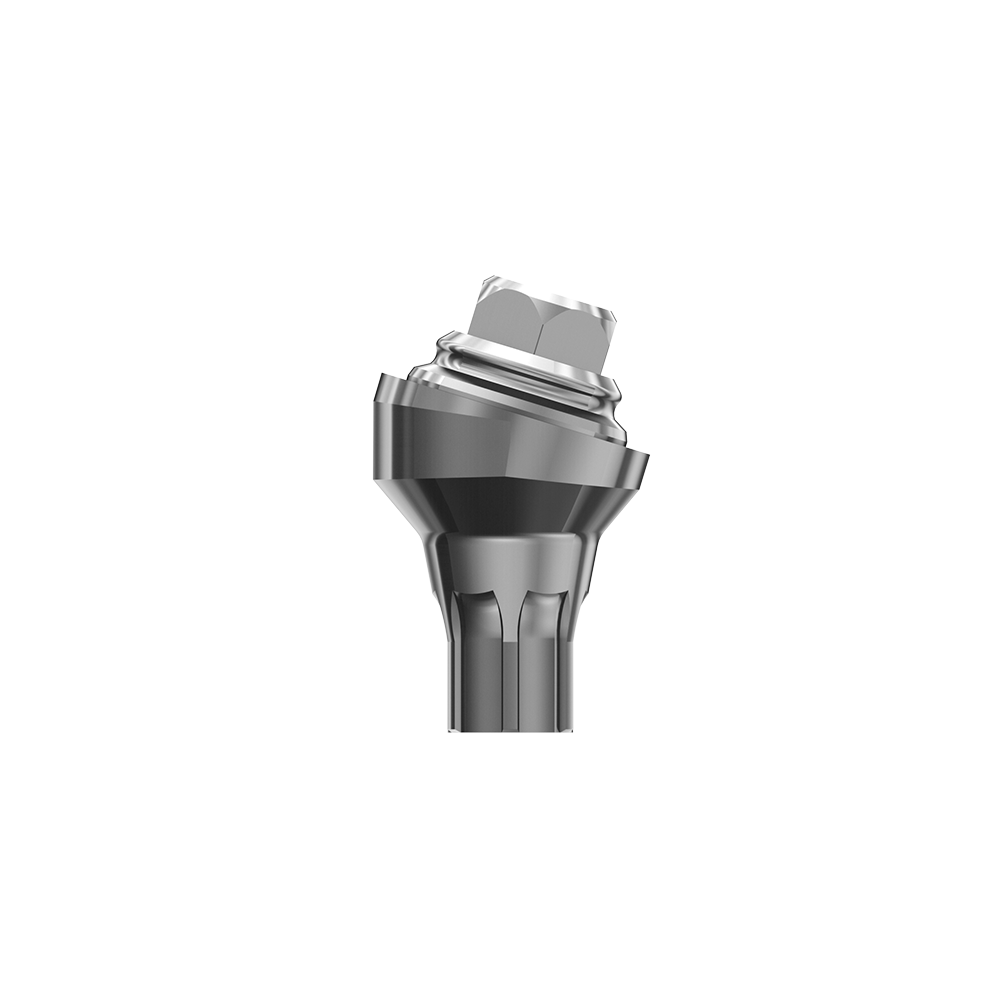 Astra EV MultiBase compatible Dental 17° 30° Angled Multi-unit Abutments