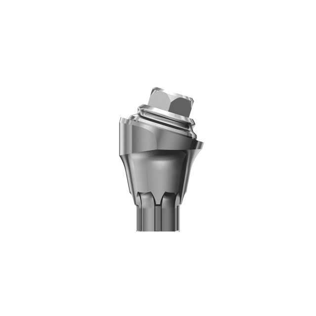 Astra EV MultiBase compatible Dental 17° 30° Angled Multi-unit Abutments
