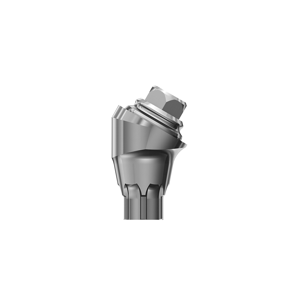 Astra EV MultiBase compatible Dental 17° 30° Angled Multi-unit Abutments