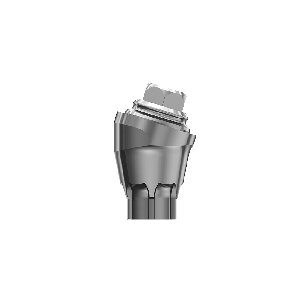 Astra EV MultiBase compatible Dental 17° 30° Angled Multi-unit Abutments