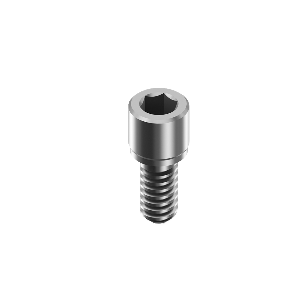 M6 Anthogyr MUA titanium dental screws