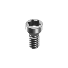 M6 straumann BL MUA titanium dental screws