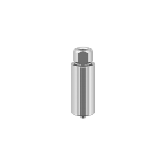Alphabio SPI dental titanium preformed blank 10mm for Arum Imesicore holder China professional factory OEM available