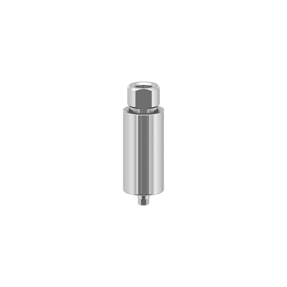 BB compatible dental titanium premilled blank 10mm for Arum Imesicore holder China supplier OEM