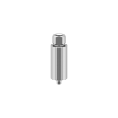 BB compatible dental titanium premilled blank 10mm for Arum Imesicore holder China supplier OEM