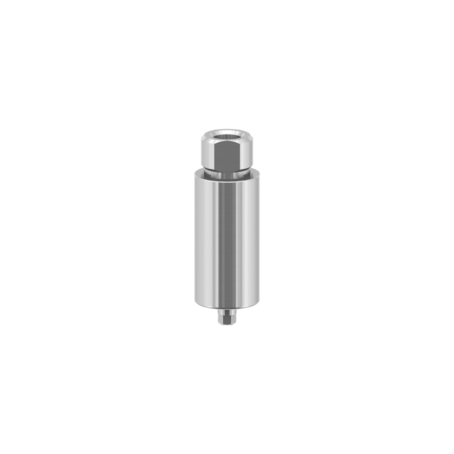 BB compatible dental titanium premilled blank 10mm for Arum Imesicore holder China supplier OEM