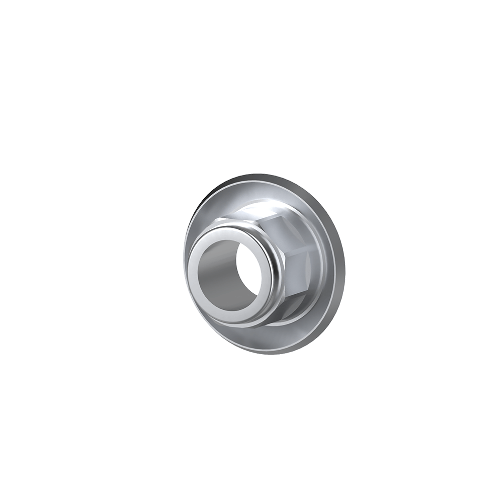 Dentium simple line II compatible titanium premilled blank(10mm)