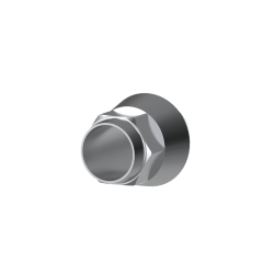 NeoBiotech compatible dental titanium premilled blank 10mm for Arum Imesicore holder China factory OEM service