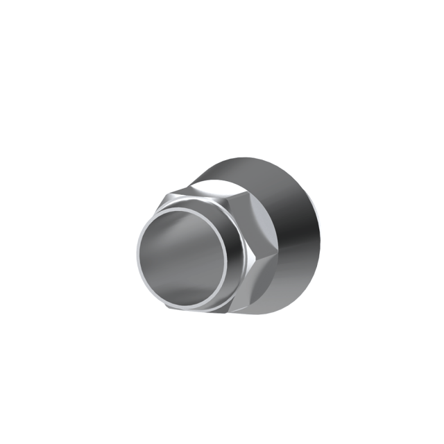 NeoBiotech compatible dental titanium premilled blank 10mm for Arum Imesicore holder China factory OEM service