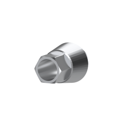 Neodent GM compatible dental titanium pre-milled blank 10mm for arum imesicore holder made in China factory