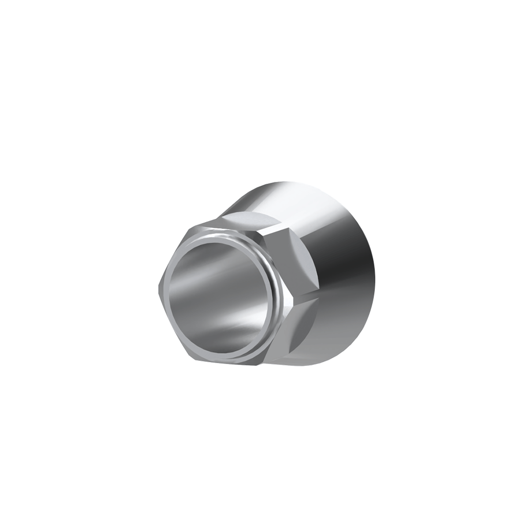 SG dental implant compatible titanium premilled blank (10mm)