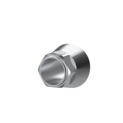 SG dental implant compatible titanium premilled blank (10mm)