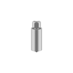 Sweden and Martina dental implant compatible 10mm titanium preformed blanks for Arum Imesicore China factory OEM