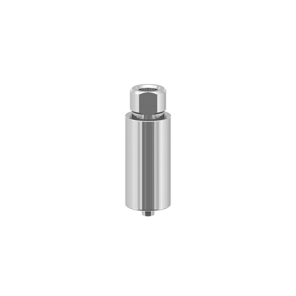 Dentin 10mm dental titanium premilled blank