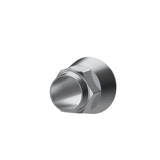 IBS regular (engaging) compatible titanium premilled blank(10mm)