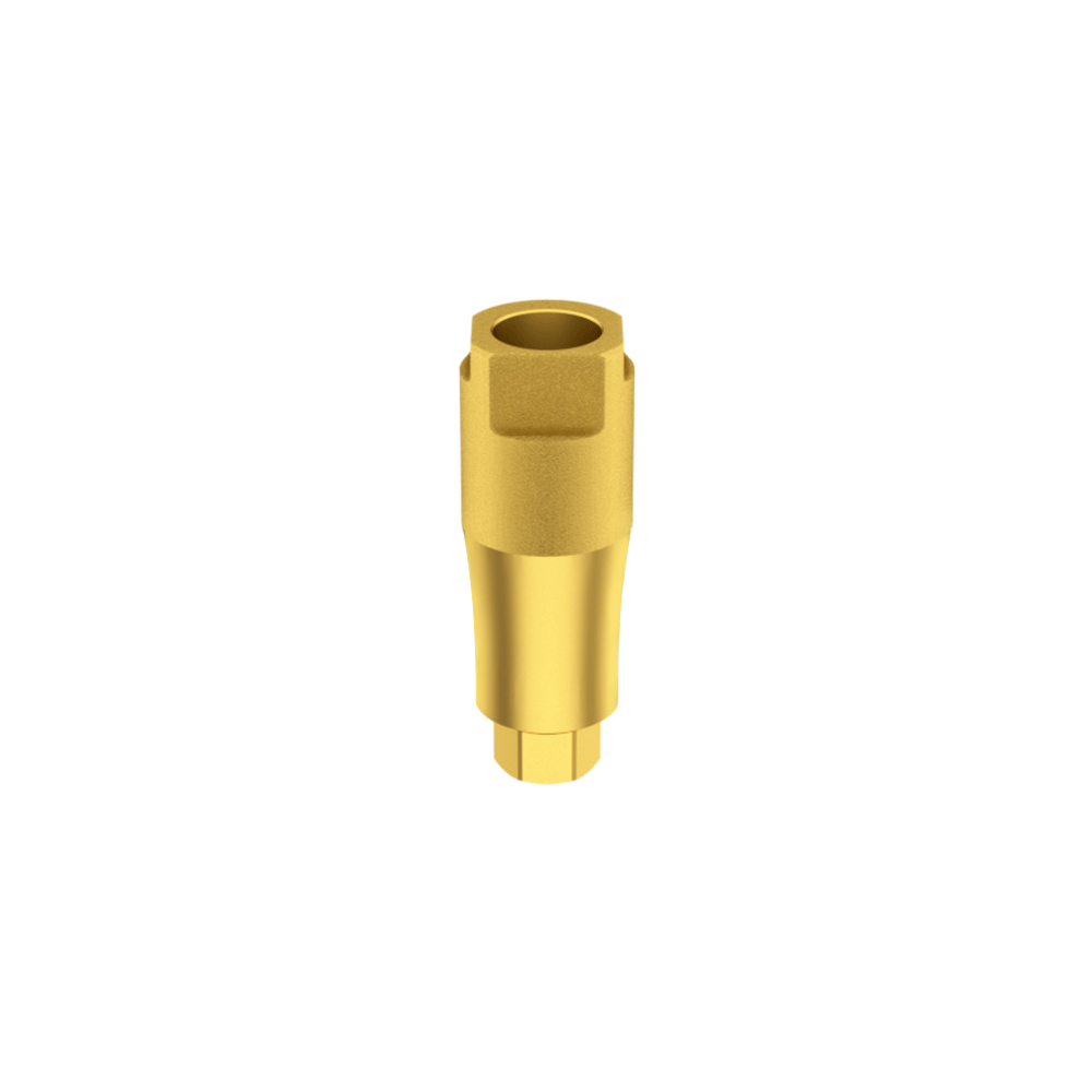 Ritter compatible dental implant scanbody to acquire digital impression