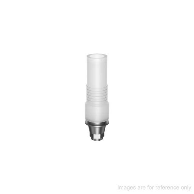 Biomet 3i Certain CoCr wax-up abutment