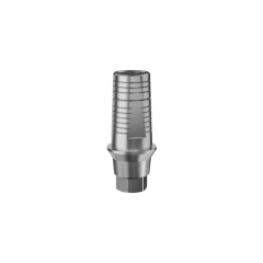 Megagen Any ridge ti-base with fabricated interface