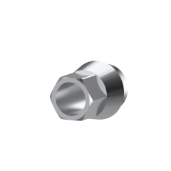 SNUC dental implant interface