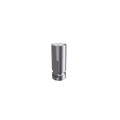 Bego Compatible Stone Analog for Dental Stone Model