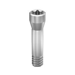 Straumann precision dental implant screw