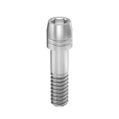 Implant direct dental screw
