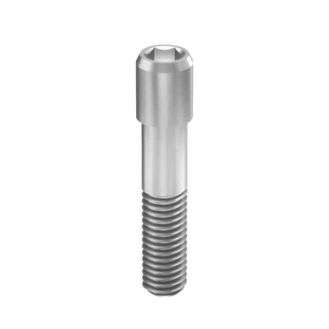 SIC dnetal implant retaining screw
