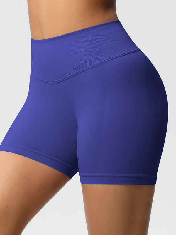Flexvibe High-Waisted Seamless 3-Panel Shorts - 3-Inch Butt Lifting Quick-Dry Gym Wear