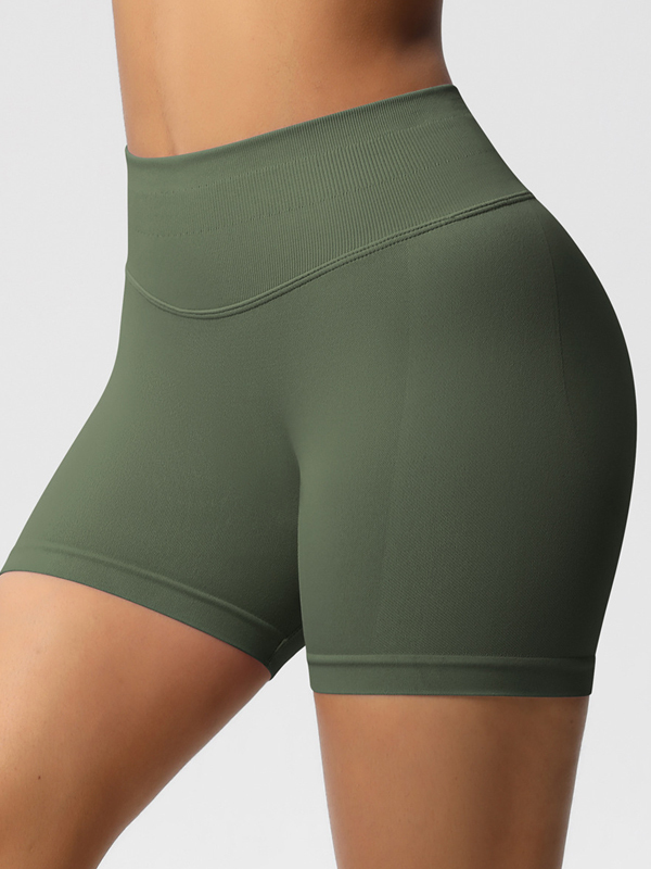 Flexvibe High-Waisted Seamless 3-Panel Shorts - 3-Inch Butt Lifting Quick-Dry Gym Wear