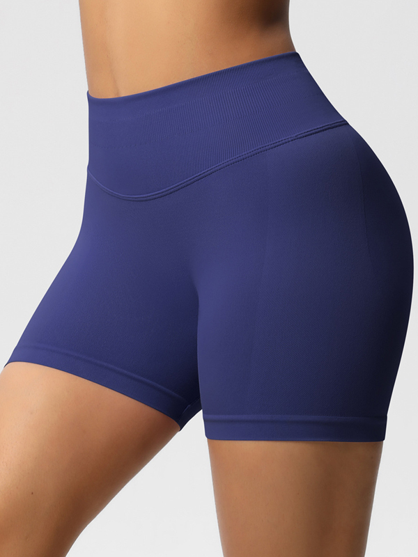 Flexvibe High-Waisted Seamless 3-Panel Shorts - 3-Inch Butt Lifting Quick-Dry Gym Wear