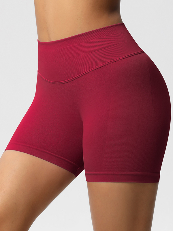 Flexvibe High-Waisted Seamless 3-Panel Shorts - 3-Inch Butt Lifting Quick-Dry Gym Wear