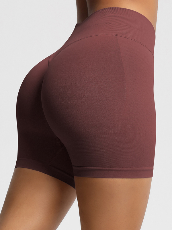Flexvibe High-Waisted Seamless 3-Panel Shorts - 3-Inch Butt Lifting Quick-Dry Gym Wear