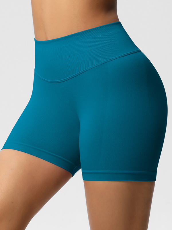 Flexvibe High-Waisted Seamless 3-Panel Shorts - 3-Inch Butt Lifting Quick-Dry Gym Wear