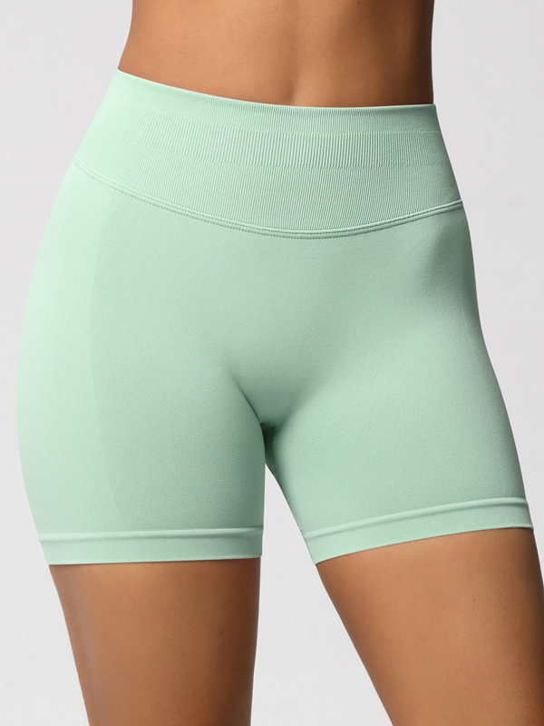 Flexvibe High-Waisted Seamless 3-Panel Shorts - 3-Inch Butt Lifting Quick-Dry Gym Wear