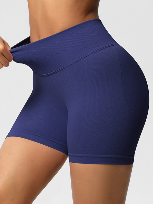 Flexvibe High-Waisted Seamless 3-Panel Shorts - 3-Inch Butt Lifting Quick-Dry Gym Wear
