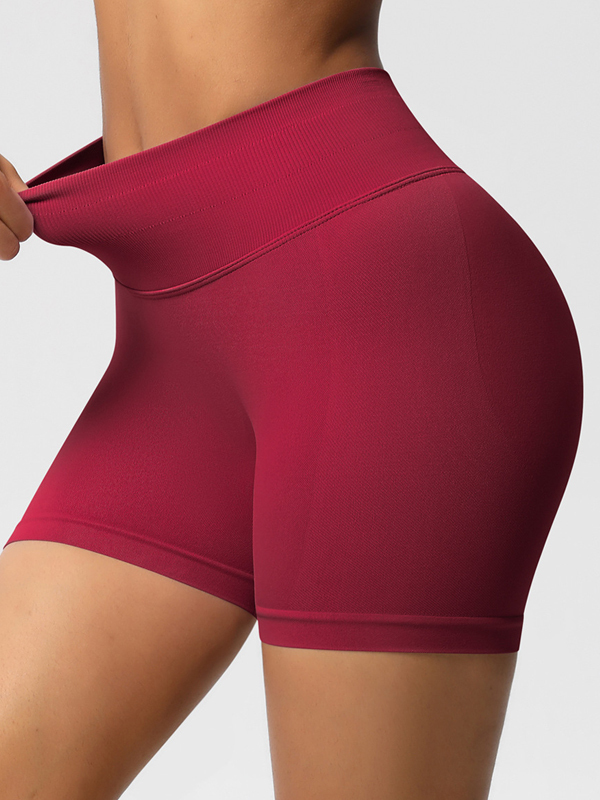 Flexvibe High-Waisted Seamless 3-Panel Shorts - 3-Inch Butt Lifting Quick-Dry Gym Wear