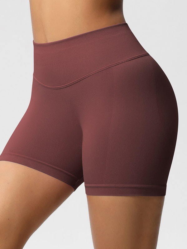 Flexvibe High-Waisted Seamless 3-Panel Shorts - 3-Inch Butt Lifting Quick-Dry Gym Wear