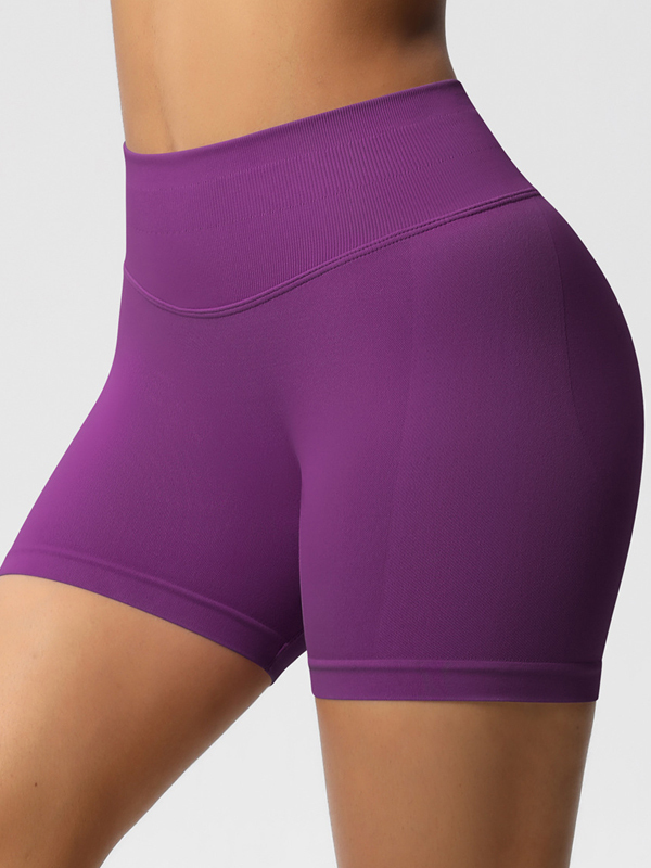 Flexvibe High-Waisted Seamless 3-Panel Shorts - 3-Inch Butt Lifting Quick-Dry Gym Wear