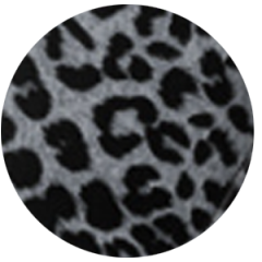 Gray Leopard Print