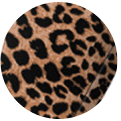 Leopard Print