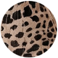 leopard print