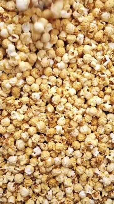 Model BR-8327 Commercial Popcorn Machine