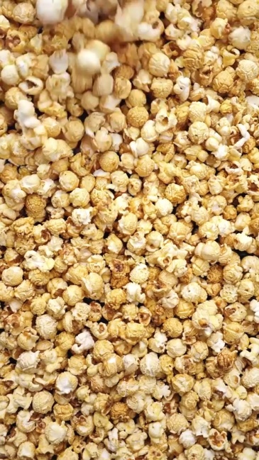Model BR-8334 Large-scale Commercial Popcorn Machine