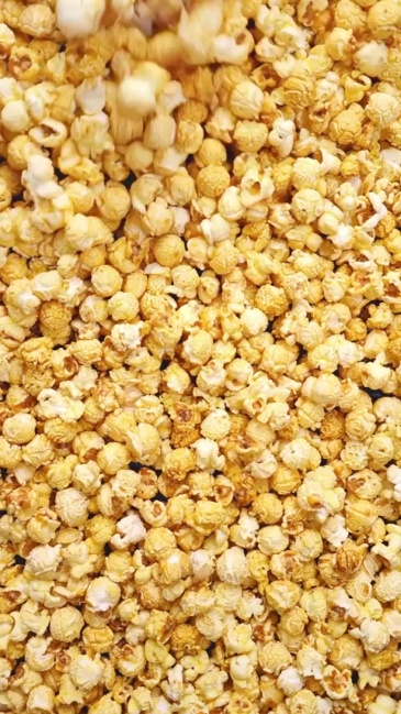 Model BR-8338 Commercial Popcorn-coated Sugar Machine