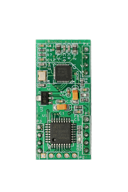 DM5200 RFID 模块 - 引脚版本