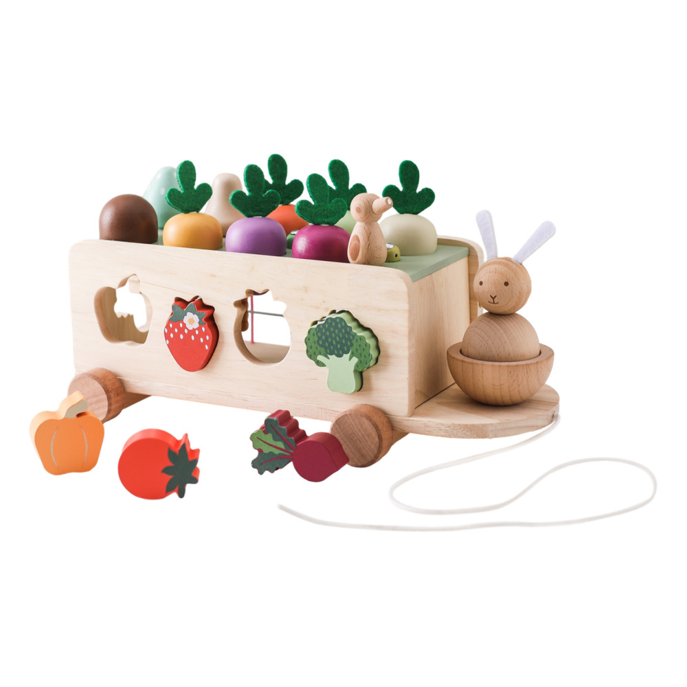 Wooden Pull-Along Shape Sorting Toys
