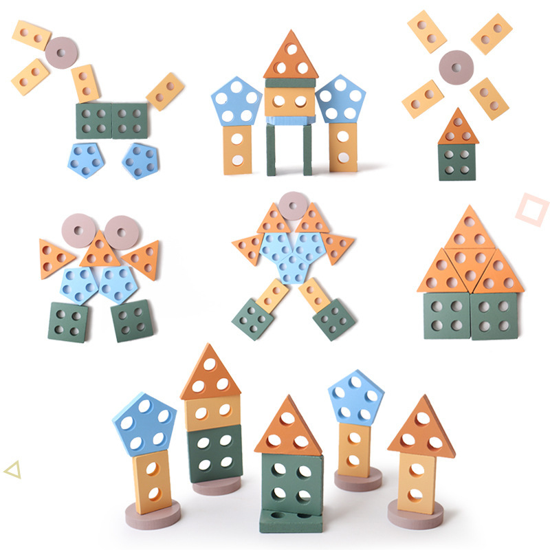 Wooden Geometric Shape Sorting Game Set