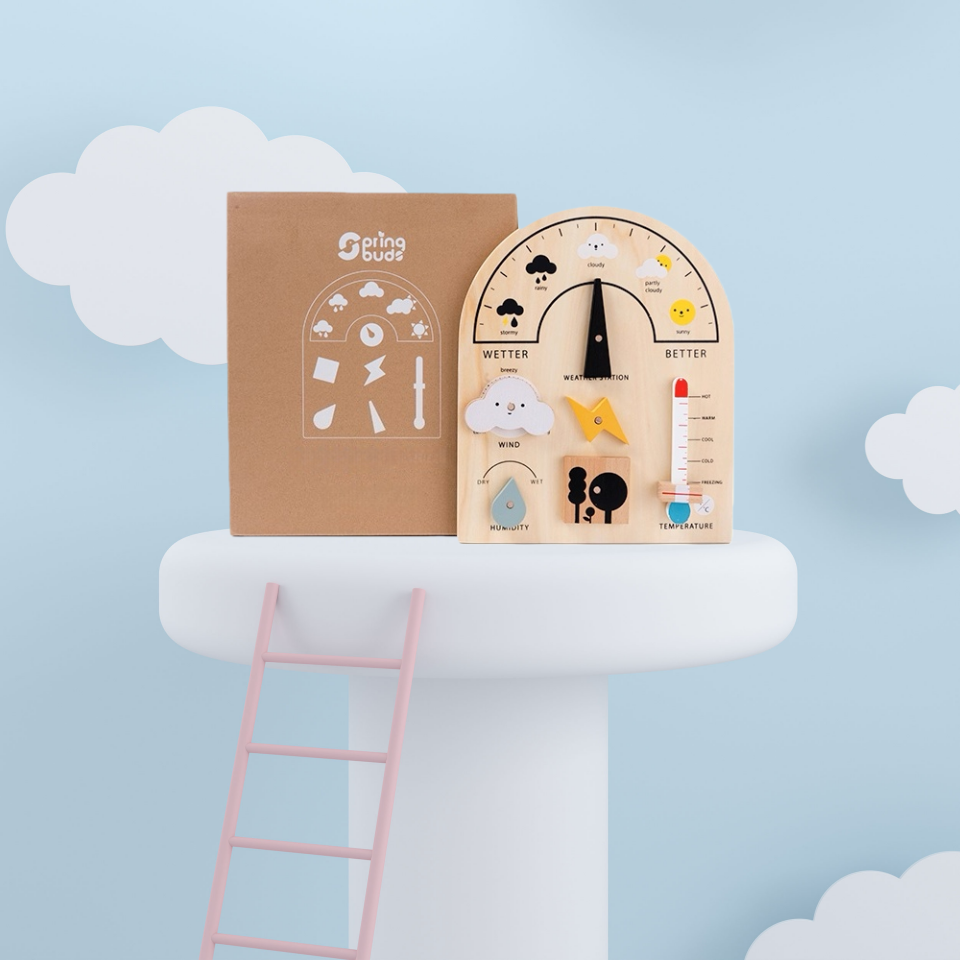 Weather Wall Chart - A Must - Have for Kids' Sensory Enlightenment